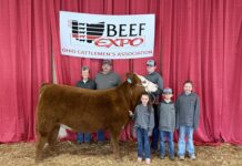 Three generations finds success with Simmentals