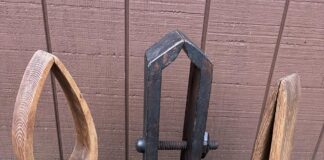 Winter was the time for renewal, rejuvenation and repair