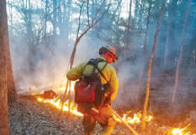 ODNR urges caution during Ohio’s spring wildfire season