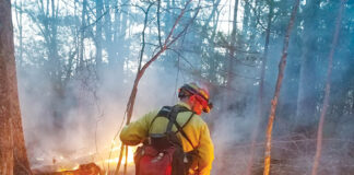 ODNR urges caution during Ohio’s spring wildfire season