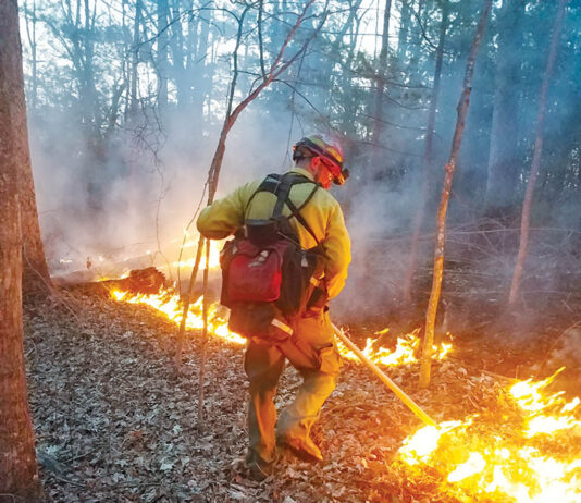 ODNR urges caution during Ohio’s spring wildfire season