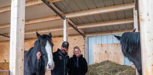 Saving the Shire: Greenlee Farms preserves, promotes rare draft horse breed Greenlee Farms