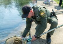 Ohio’s rainbow trout releases begin this week
