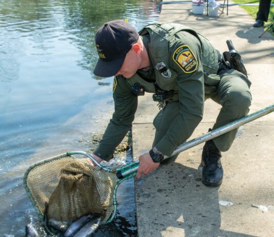 Ohio’s rainbow trout releases begin this week
