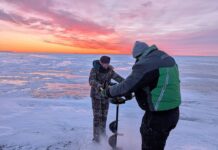 Walleye fever: A deep dive into Ohio’s unofficial state fish