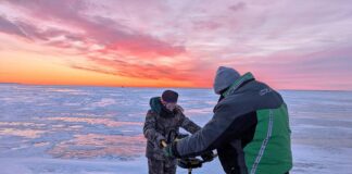 Walleye fever: A deep dive into Ohio’s unofficial state fish