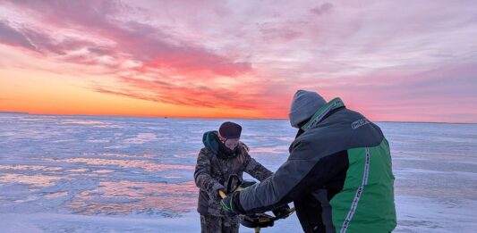 Walleye fever: A deep dive into Ohio’s unofficial state fish