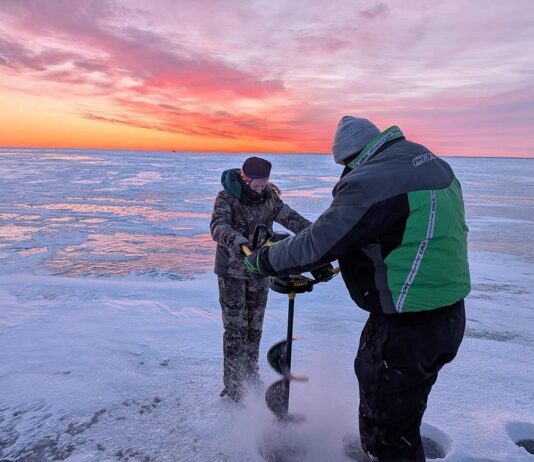Walleye fever: A deep dive into Ohio’s unofficial state fish