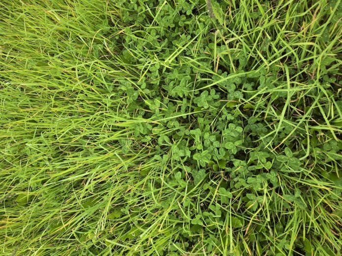 pasture pennsylvania