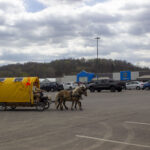 ‘Who Is My Neighbor?’ Woman on horse-drawn quest for common ground