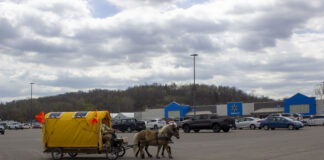 ‘Who Is My Neighbor?’ Woman on horse-drawn quest for common ground
