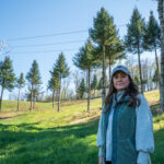 Quarter Pine Tree Farm