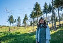 Quarter Pine Tree Farm