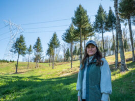 Farmers, local officials fight against MARL transmission line in Pa., W.Va. Quarter Pine Tree Farm
