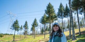 Farmers, local officials fight against MARL transmission line in Pa., W.Va. Quarter Pine Tree Farm