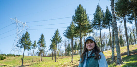 Farmers, local officials fight against MARL transmission line in Pa., W.Va. Quarter Pine Tree Farm