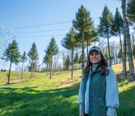 Farmers, local officials fight against MARL transmission line in Pa., W.Va. Quarter Pine Tree Farm