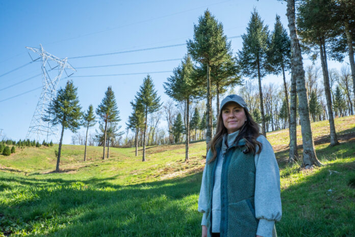 beth seed orchard close better Quarter Pine Tree Farm