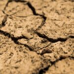 Why soil testing is the key to farm profit and water quality