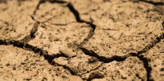 Why soil testing is the key to farm profit and water quality