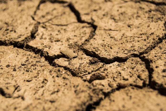 drought soil dry dirt