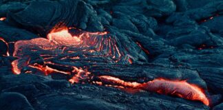 Good gravy: Dealing with trolls, grudges and the power of kindness