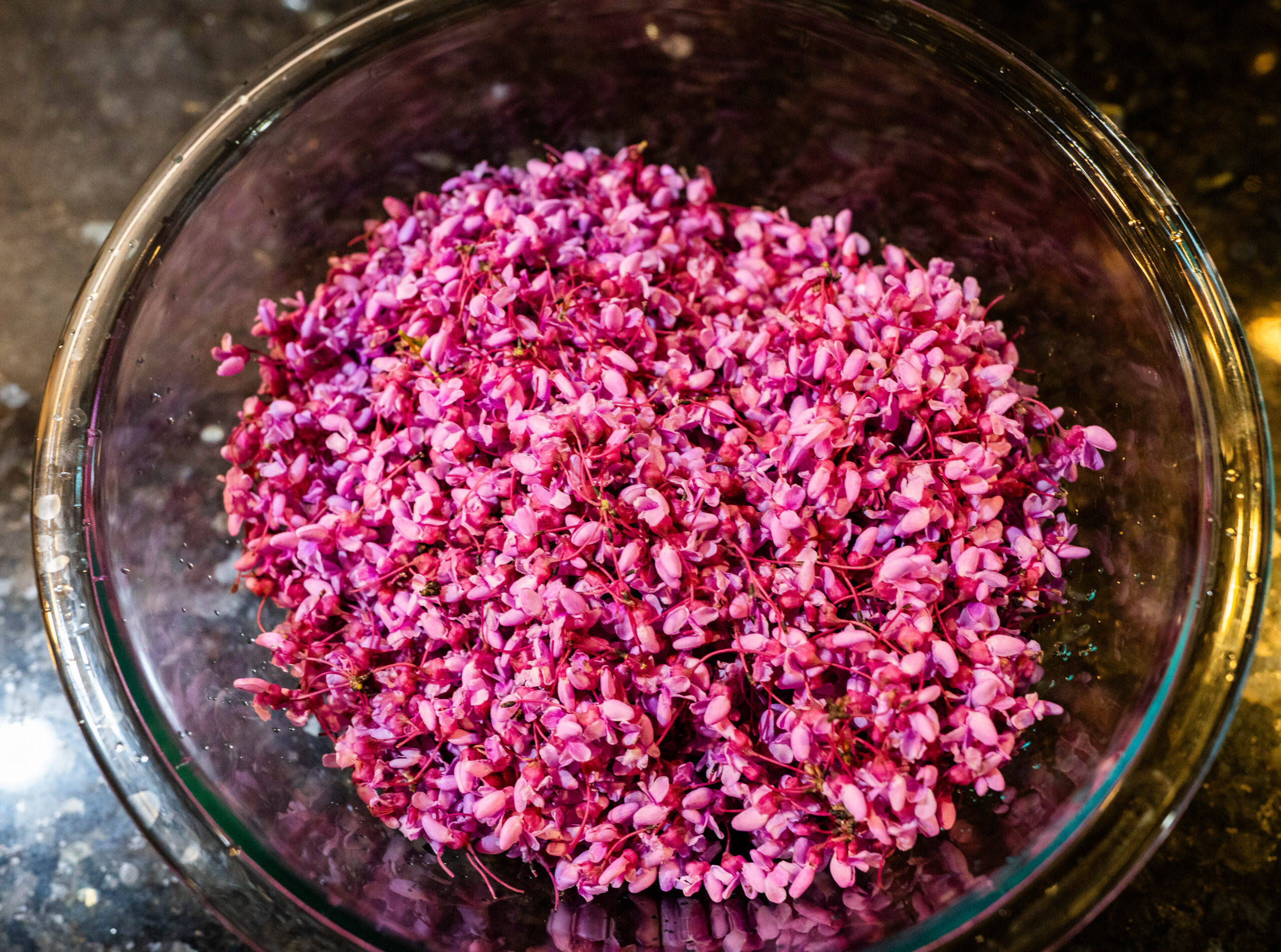 eastern redbud petals