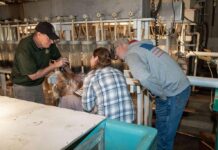 ODNR fish hatchery open houses coming up