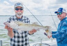 Lake Erie daily limits announced for 2026 fishing season