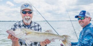 Lake Erie daily limits announced for 2026 fishing season