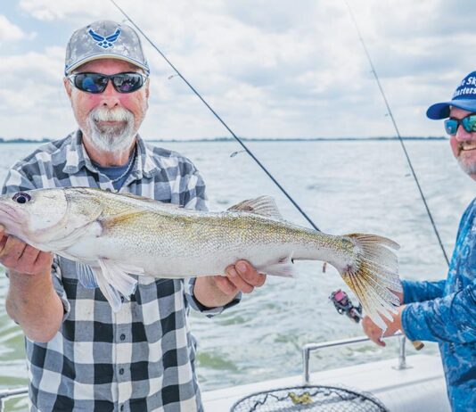 Lake Erie daily limits announced for 2026 fishing season
