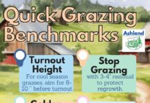 Don’t rush the grass: Spring pasture tips that actually pay off