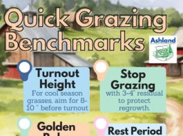 Don’t rush the grass: Spring pasture tips that actually pay off
