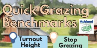 Don’t rush the grass: Spring pasture tips that actually pay off