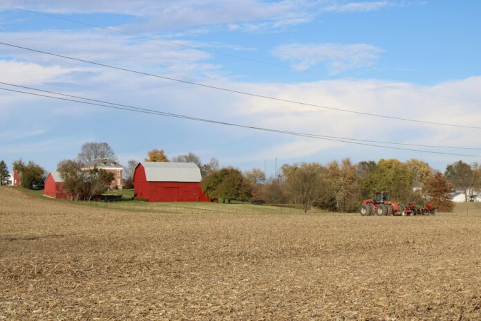 pexels-inspired2love-34599831