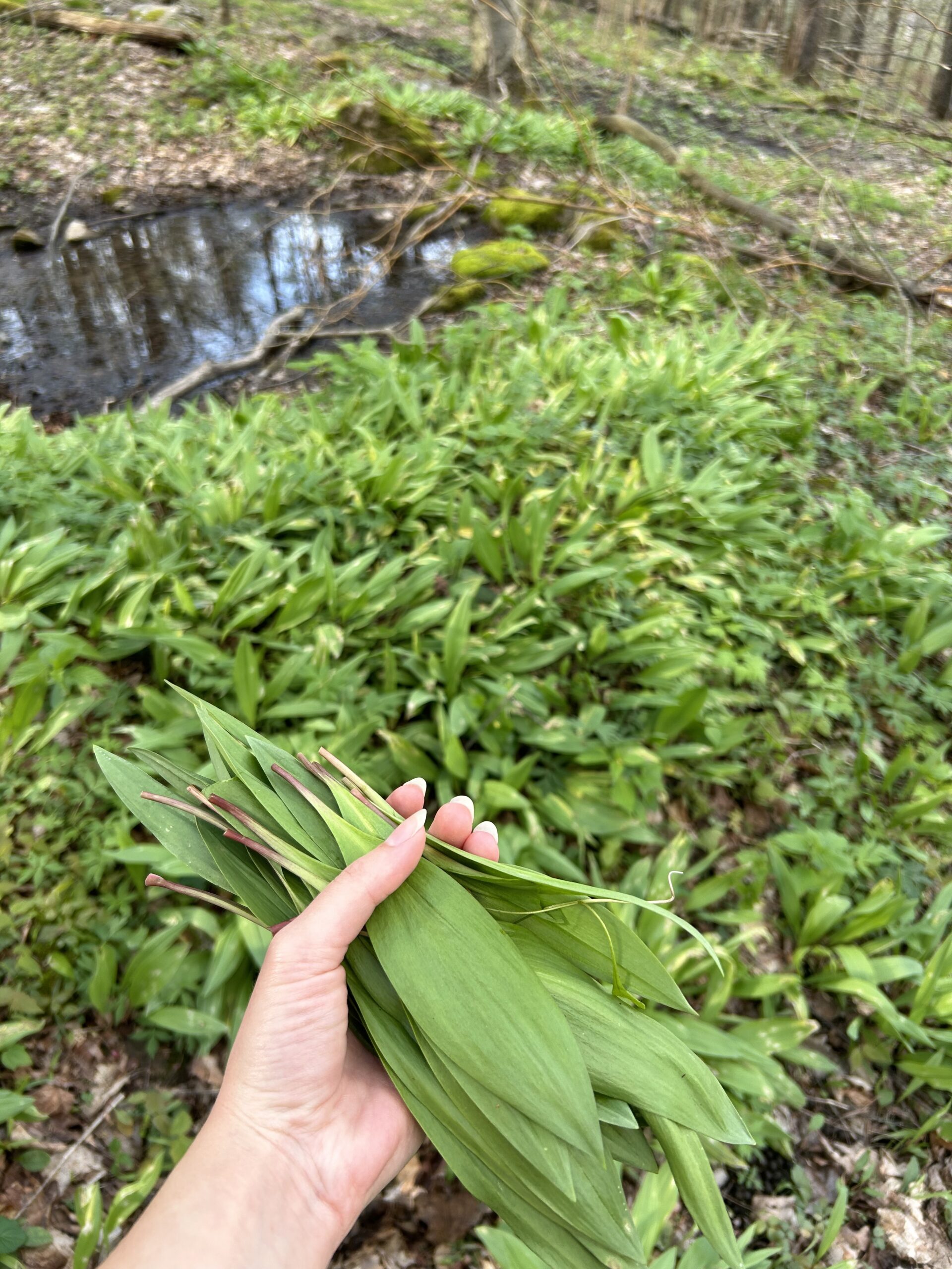 ramps