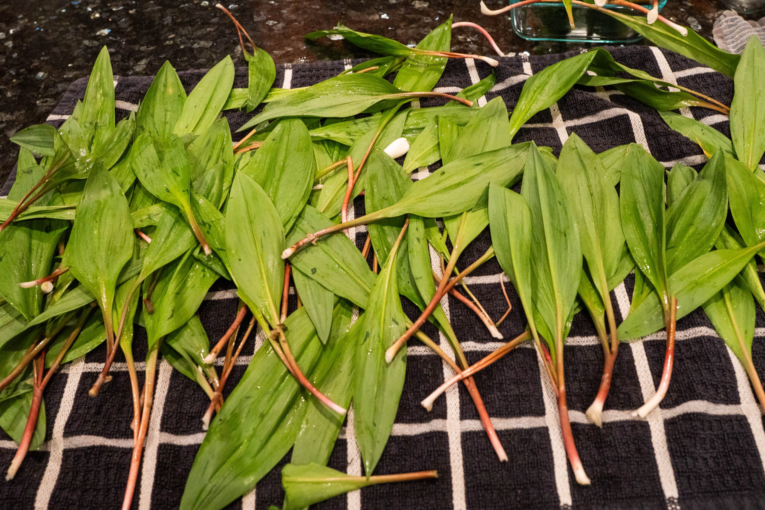 ramps