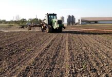 Manure management: Applying dairy manure to newly planted crops