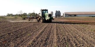 Manure management: Applying dairy manure to newly planted crops