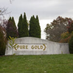 Woman charged in deaths of horses at former Pure Gold Stables