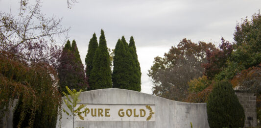 Woman charged in deaths of horses at former Pure Gold Stables