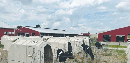Is your heat abatement actually working? Join OSU’s 2026 dairy study