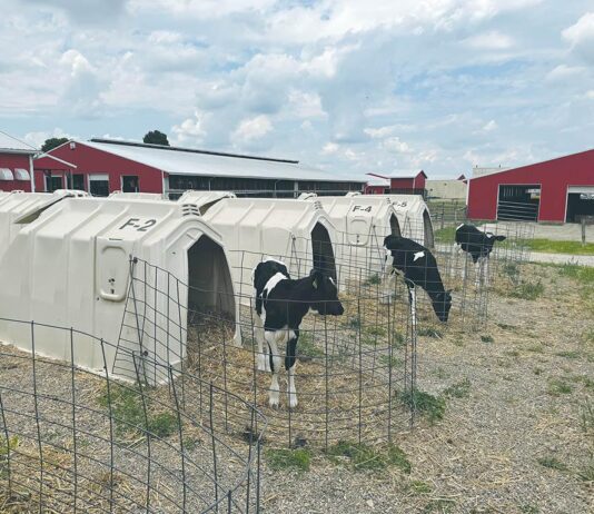 Is your heat abatement actually working? Join OSU’s 2026 dairy study
