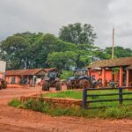 Sour taste of South American trade