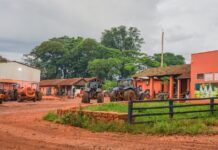 Sour taste of South American trade