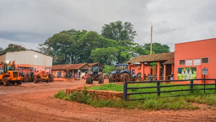 brazil farm jake