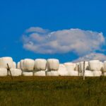 Tips for making high-quality baleage