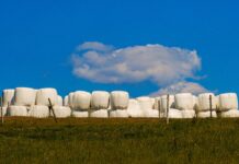 Tips for making high-quality baleage