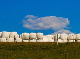 Tips for making high-quality baleage