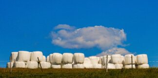 Tips for making high-quality baleage